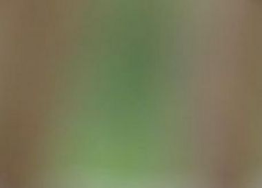 [Translate to Français:] 