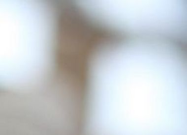 [Translate to Français:] 