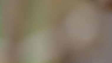 [Translate to Français:] 